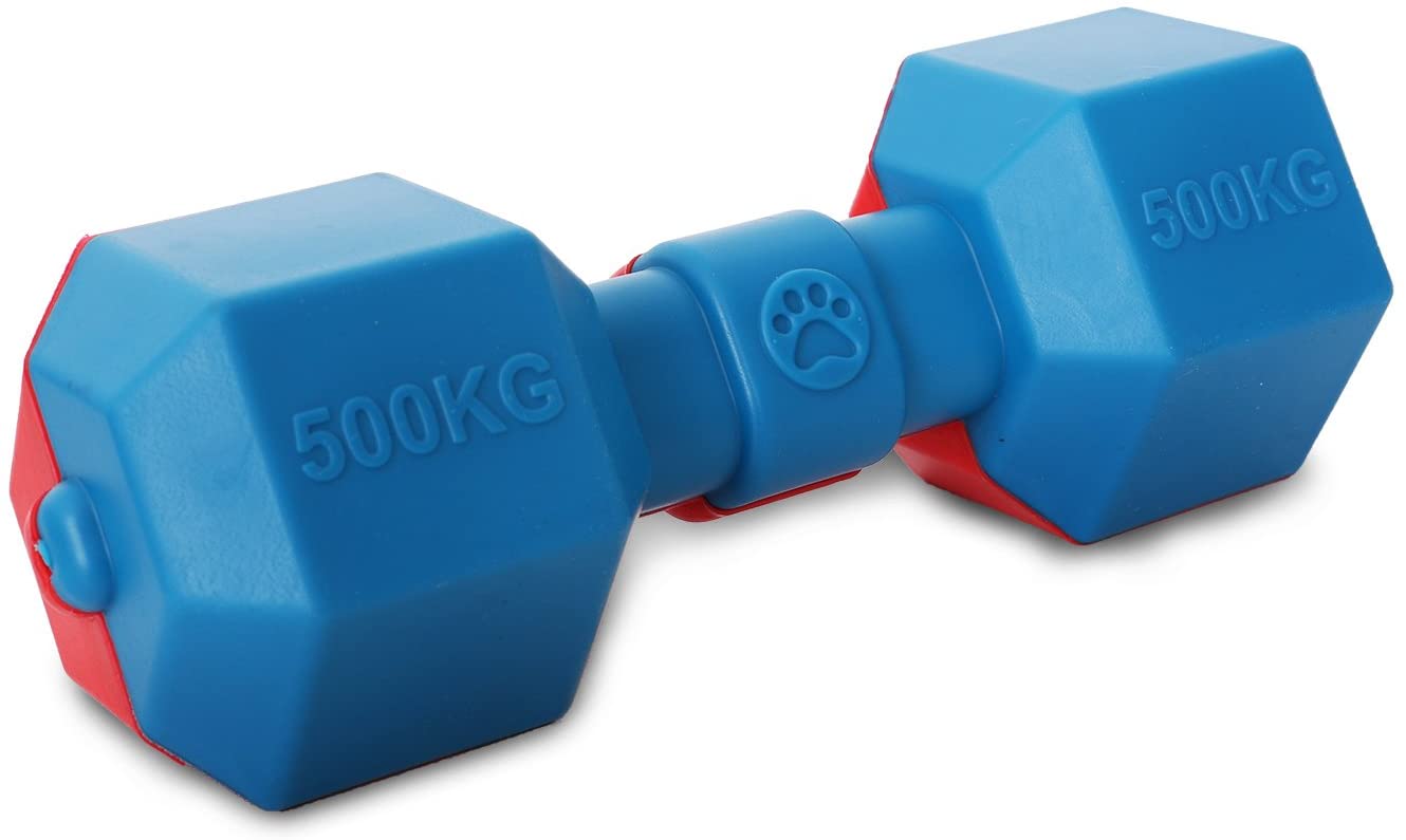 Dumbbell Built-To-Last Chew and Fetch TPR Waterproof Floating Pet Dog Toy, One Size, Blue and Red