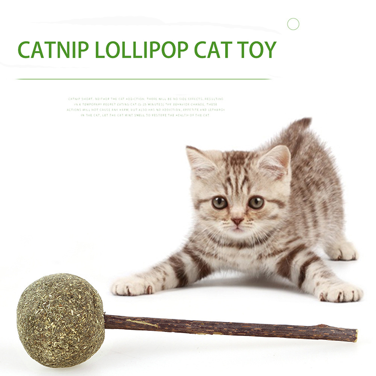 Natural Eco-Friendly Cat Toys With Catnip Ball Catnip Lollipop Cat Toy