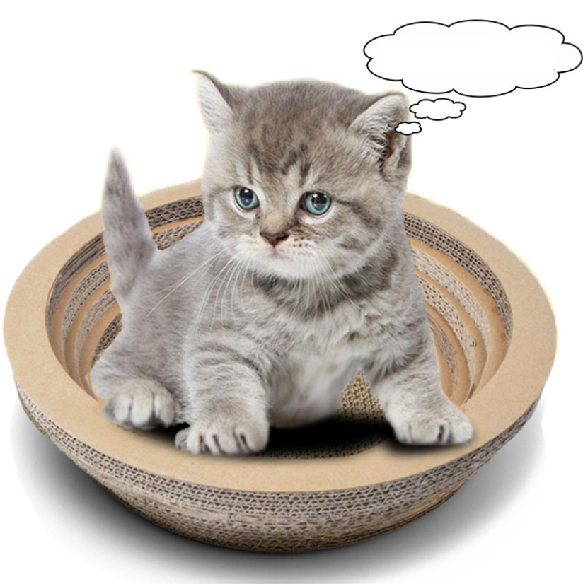 Why Do Cats Love Cardboard scratcher ?