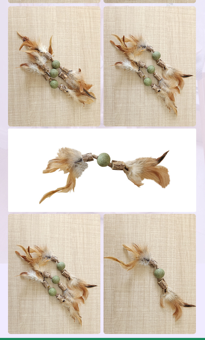 Eco-Friendly Nature Catnip Ball Cat Toy Cleaning Teeth Matatabi Feather Sticks (4).jpg
